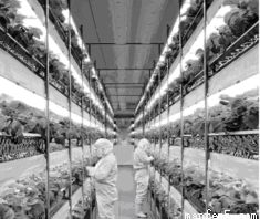 读图.回答下列问题. 1 与汉堡比较.描述瓦伦西亚的气候特点.并说出主要的影响因素. 2 说明图示洋流对海洋航行的影响. 3 下图为北欧传统民居.说出该民居的主要特点
